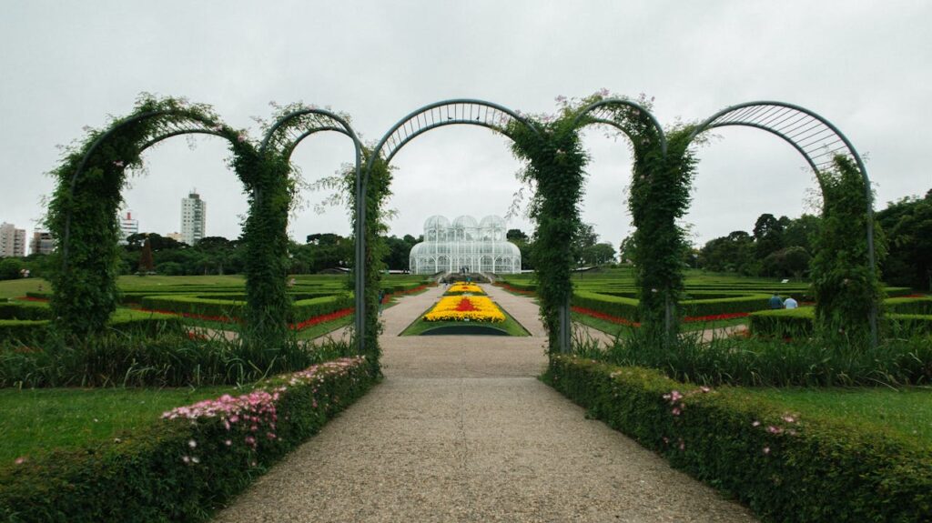 O Tamanho Real do Mercado Digital de Curitiba
